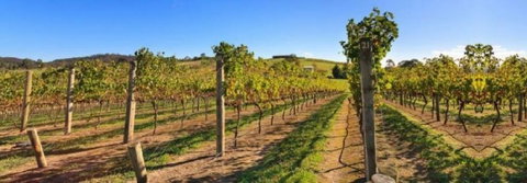 DeVine Escape - Accommodation Resorts 0