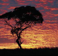 Kimba Caravan Park amp Motel - Accommodation Resorts