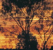 Tilmouth Well - Accommodation Resorts