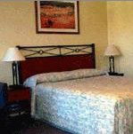 Ashfield Motor Inn - Accommodation Resorts 2