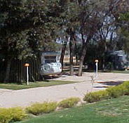Paringa Caravan Park - Accommodation Resorts