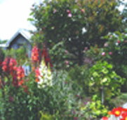 Hopfield Country Cottages - Accommodation Resorts