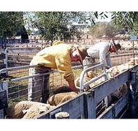 Old Nubba Schoolhouse - Accommodation Resorts