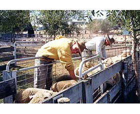 Old Nubba Schoolhouse - Accommodation Resorts 0