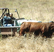 Bullo River Station - Accommodation Resorts