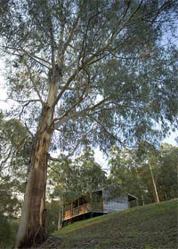 Toorongo VIC Accommodation Resorts