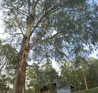 Outpost Restaurant - Accommodation Resorts