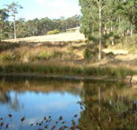 Kiah Nunyara Accommodation - Accommodation Resorts