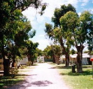 Bathers Paradise Caravan Park - Accommodation Resorts