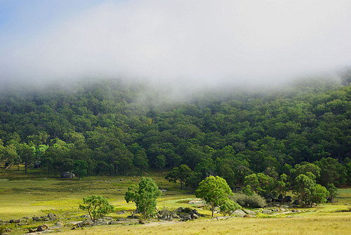 Yellow Dam NSW Accommodation Resorts