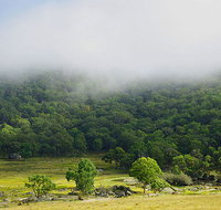 Tor Cottage at Anketell Forest - Accommodation Resorts