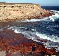 Coodlie Park - Accommodation Resorts