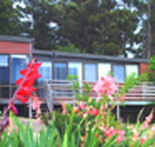 Mount Roland View - Accommodation Resorts