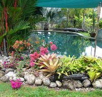 Daintree Wild Bed And Breakfast - Accommodation Resorts