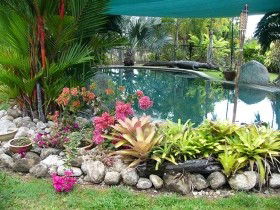 Daintree Wild Bed And Breakfast - Accommodation Resorts 0
