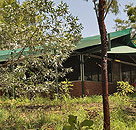 Arnhemland Barramundi Nature Lodge - Accommodation Resorts