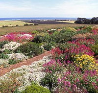 Tower Hill House - Accommodation Resorts