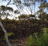 Lions Dryandra Woodlands Village - Accommodation Resorts