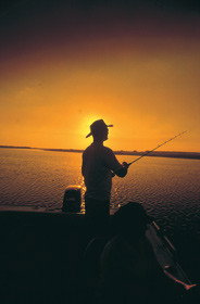 Point Stuart Wilderness Lodge - Accommodation Resorts 0