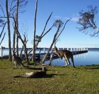 Waterfront Retreat At Wattle Point - Accommodation Resorts