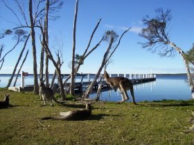Waterfront Retreat At Wattle Point - Accommodation Resorts 0