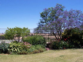 Chuckem Farm - Accommodation Resorts 0