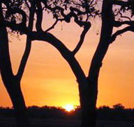 Coodardie Station Stay - Accommodation Resorts