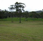 Mt White Lodge - Accommodation Resorts