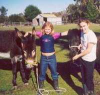 Grampians Sunrise Holiday Villas - Accommodation Resorts