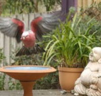 Wattle Court  Retreat - Accommodation Resorts