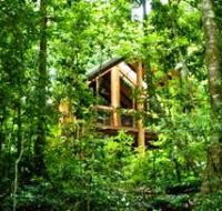 Fur'N'Feathers Rainforest Tree Houses - Accommodation Resorts