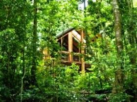 Fur'N'Feathers Rainforest Tree Houses - Accommodation Resorts 0