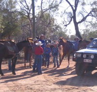 Evening Star Tourist Park - Accommodation Resorts