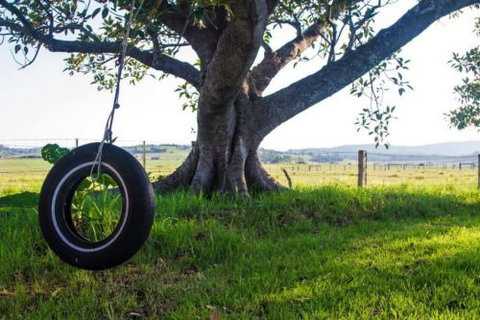 Old Schoolhouse Milton - Accommodation Resorts 3