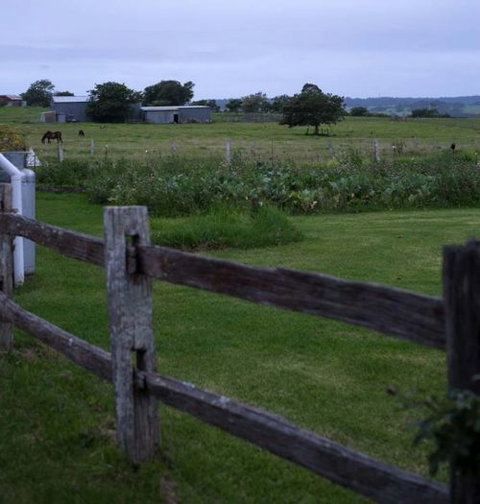 Old Schoolhouse Milton - Accommodation Resorts 8