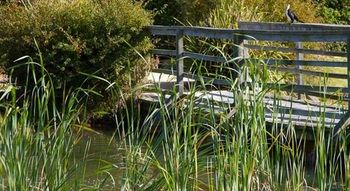 Potters Hotel Brewery Resort - Accommodation Resorts 42