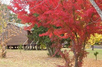 Madison's Mountain Retreat - Accommodation Resorts 1