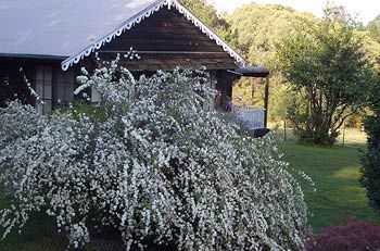 Madison's Mountain Retreat - Accommodation Resorts 3