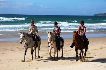 Sunset Cove Noosa - Accommodation Resorts 24