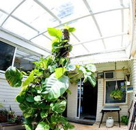 Manly Oceanside - Accommodation Resorts