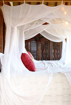 Makepeace Island - All Inclusive - Accommodation Resorts 21