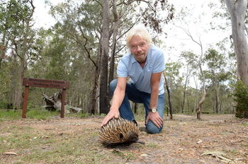 Makepeace Island - All Inclusive - Accommodation Resorts 33