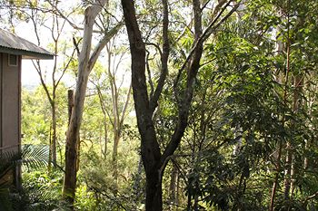 Arabella Guesthouse - Accommodation Resorts 18