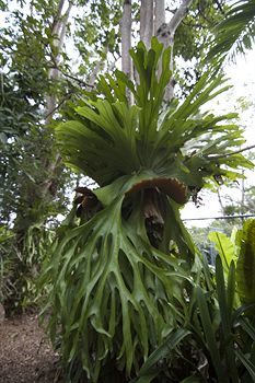 Clouds Of Montville - Accommodation Resorts 5