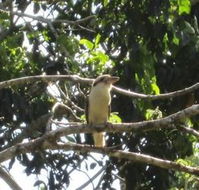 Sunshine Valley Cottages - Accommodation Resorts