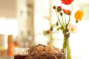 Bondi Beach House - Accommodation Resorts 12