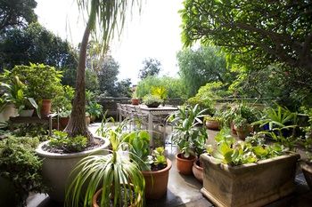 Bondi Beach House - Accommodation Resorts 14