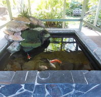 The Willows - Accommodation Resorts