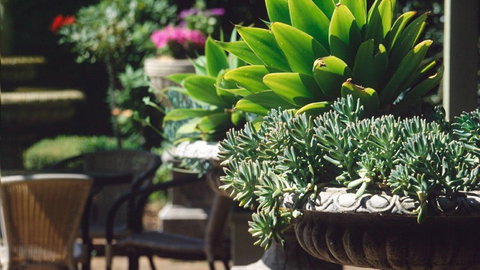 Best Western Plus The Tudor Box Hill - Accommodation Resorts 2