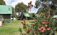 Derwent Bridge Chalets & Studios - thumb 0